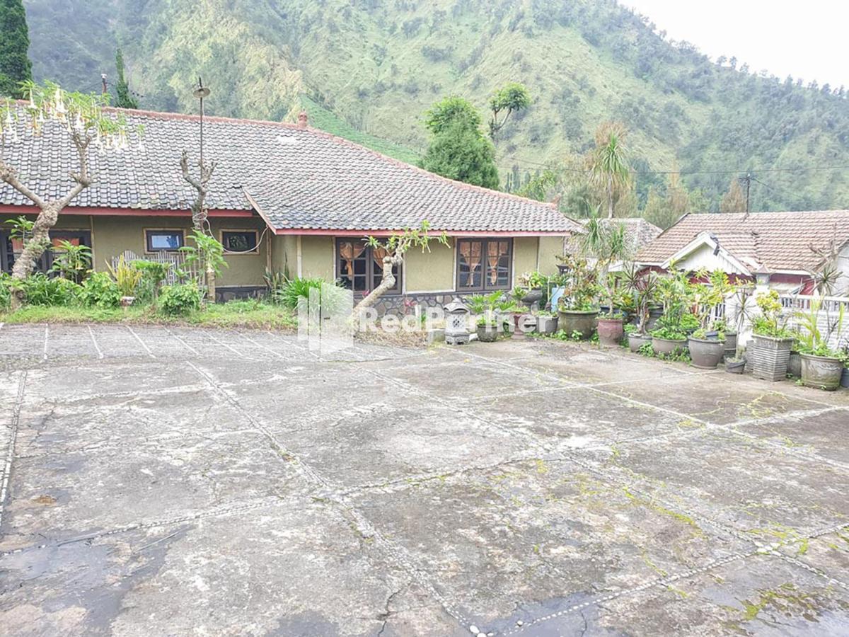 Hotel Yoschi'S Bromo At Desa Wisata Bromo Ngadisari Dış mekan fotoğraf