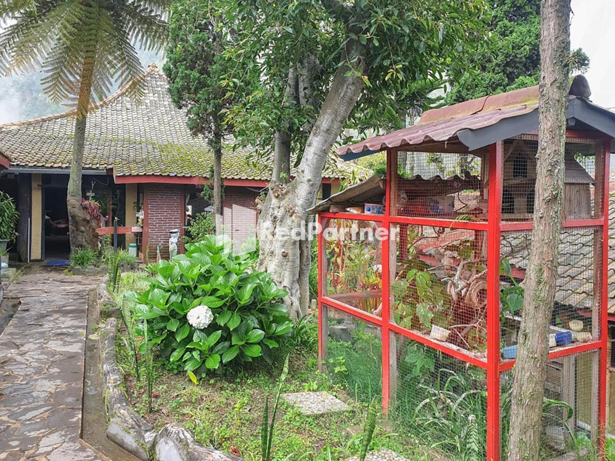 Hotel Yoschi'S Bromo At Desa Wisata Bromo Ngadisari Dış mekan fotoğraf