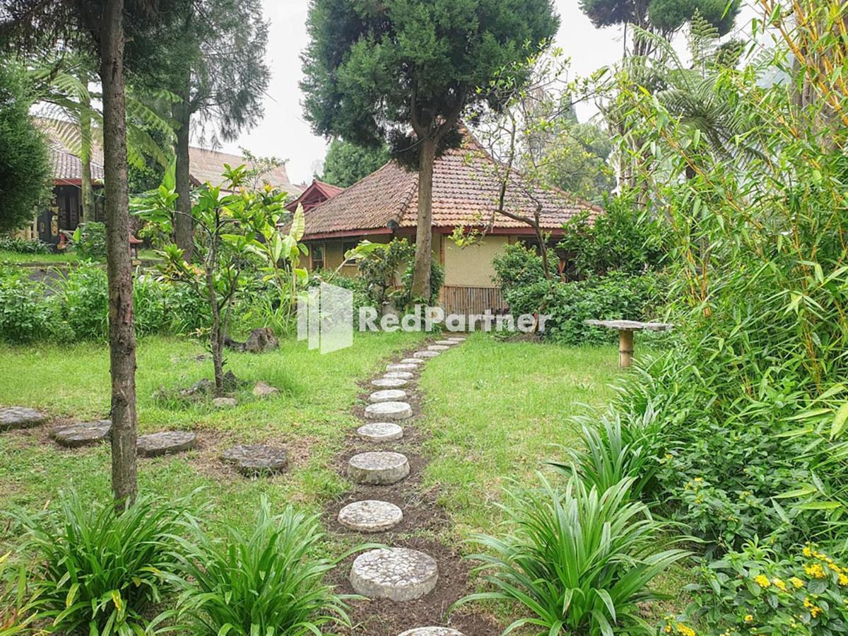 Hotel Yoschi'S Bromo At Desa Wisata Bromo Ngadisari Dış mekan fotoğraf